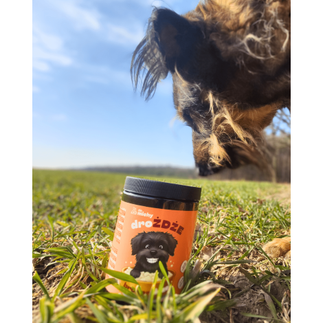 Drożdże browarnicze dla psa i kota 650g duże opakowanie.