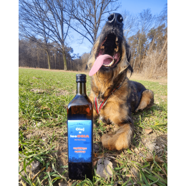 Olej z łososia 1000 ml dla psa i kota.