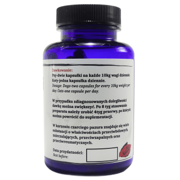 Czarci pazur kapsułki 80szt dla psa i kota