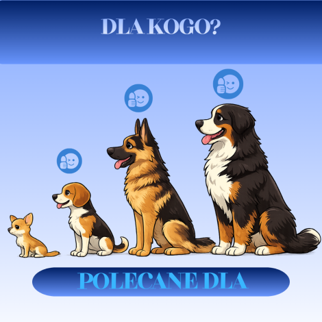 Kostka ze skóry dorsza dla psa 70g